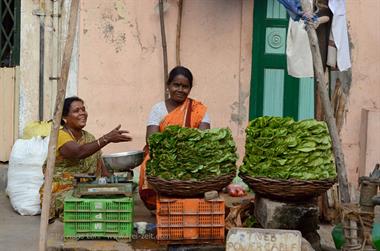 Madurai, Snapshots,_DSC_7896_H600